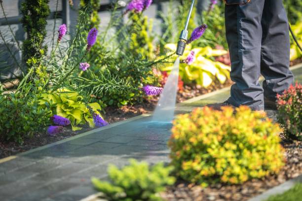 Best Driveway Pressure Washing  in Pitman, NJ